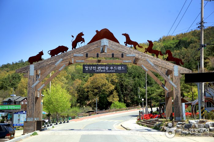 Jeongnamjin Cypress Forest Woodland (정남진 편백숲 우드랜드)