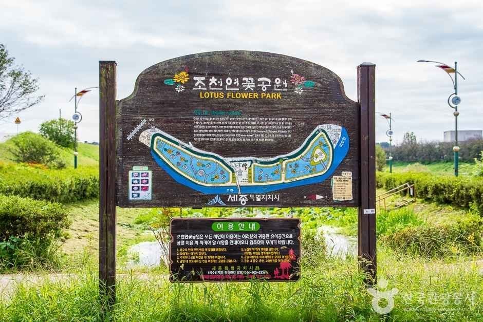 Jocheon Lotus Park (조천연꽃공원)