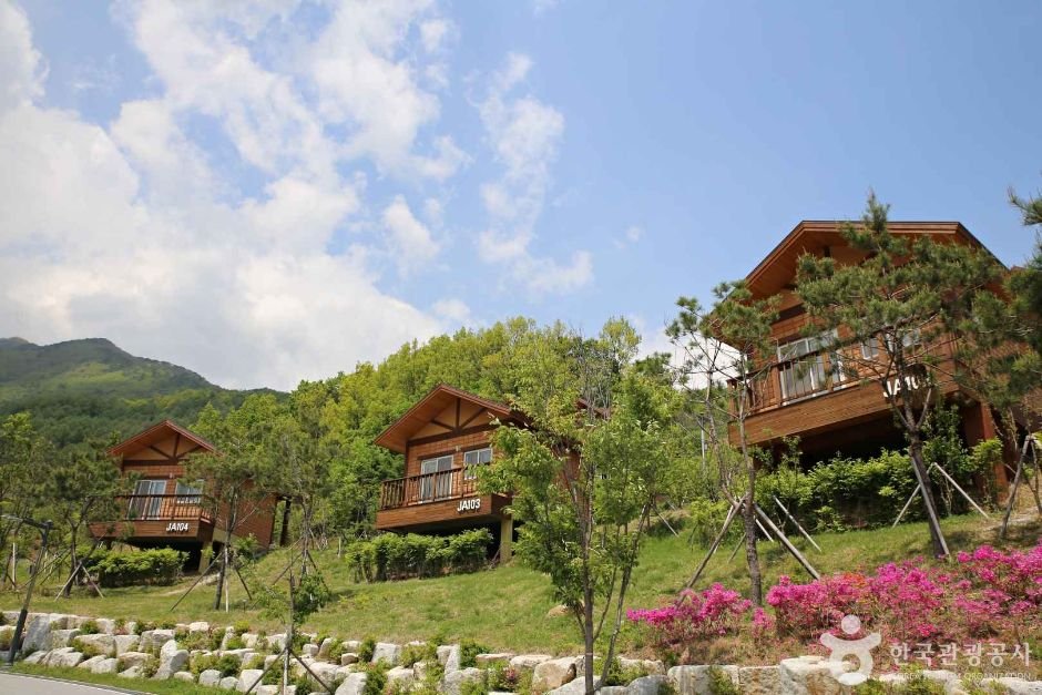 National Center for Forest Therapy (국립산림치유원)