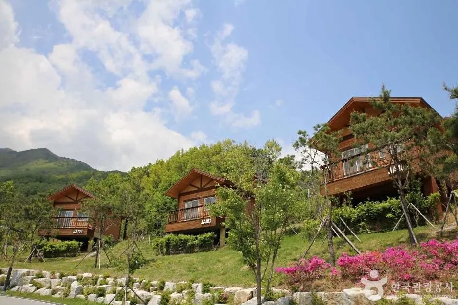 National Center for Forest Therapy (국립산림치유원)