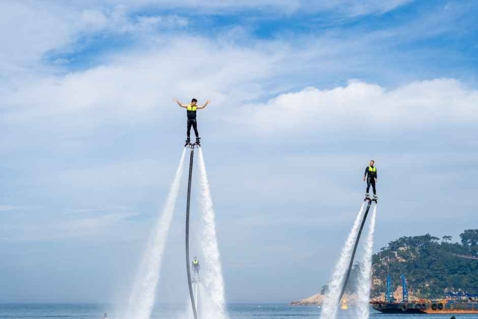 Ulsan Shipbuilding & Sea Festival (울산조선해양축제)