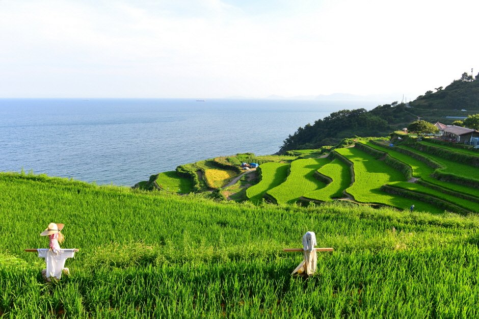 Gacheon Daraengi Village (가천 다랭이마을)