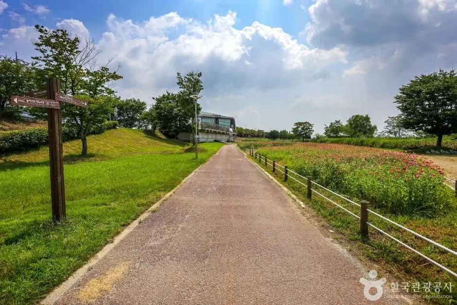 Yeongsangang River Bike Road (영산강 자전거길)