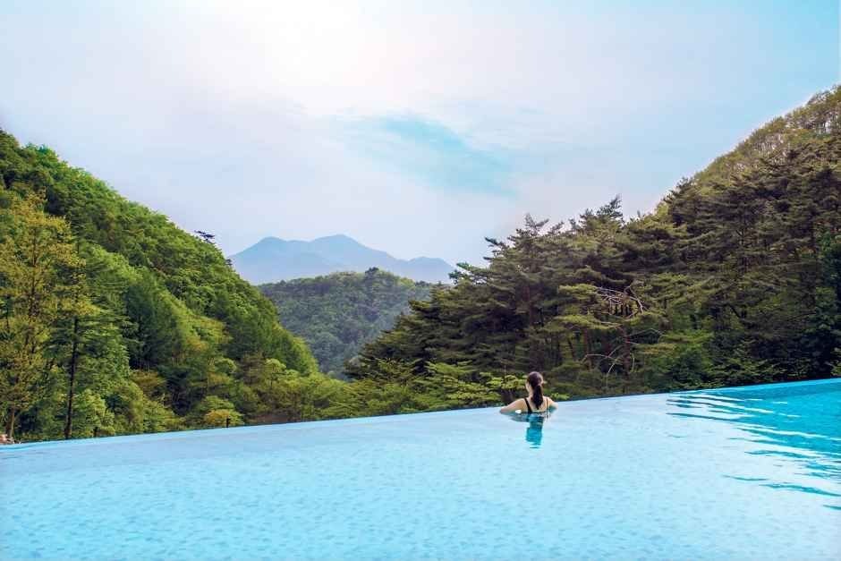 Forest Resom Have9 Wellness Spa	(포레스트 리솜 해브나인 웰니스 스파)