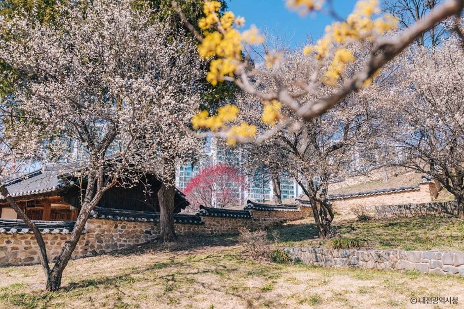 Daejeon Hoedeok Dongchundang Park (대전 회덕 동춘당 공원)