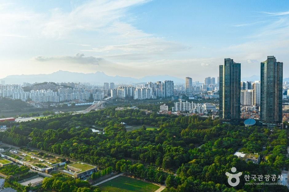 Seoul Forest (서울숲)