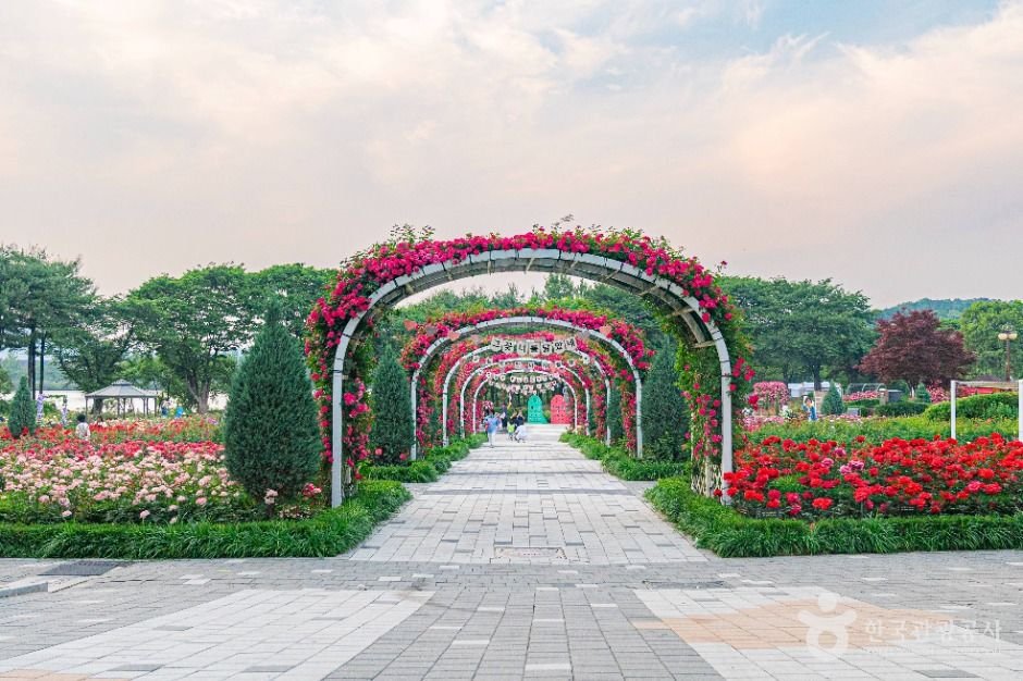 Seoul Grand Park (서울대공원)