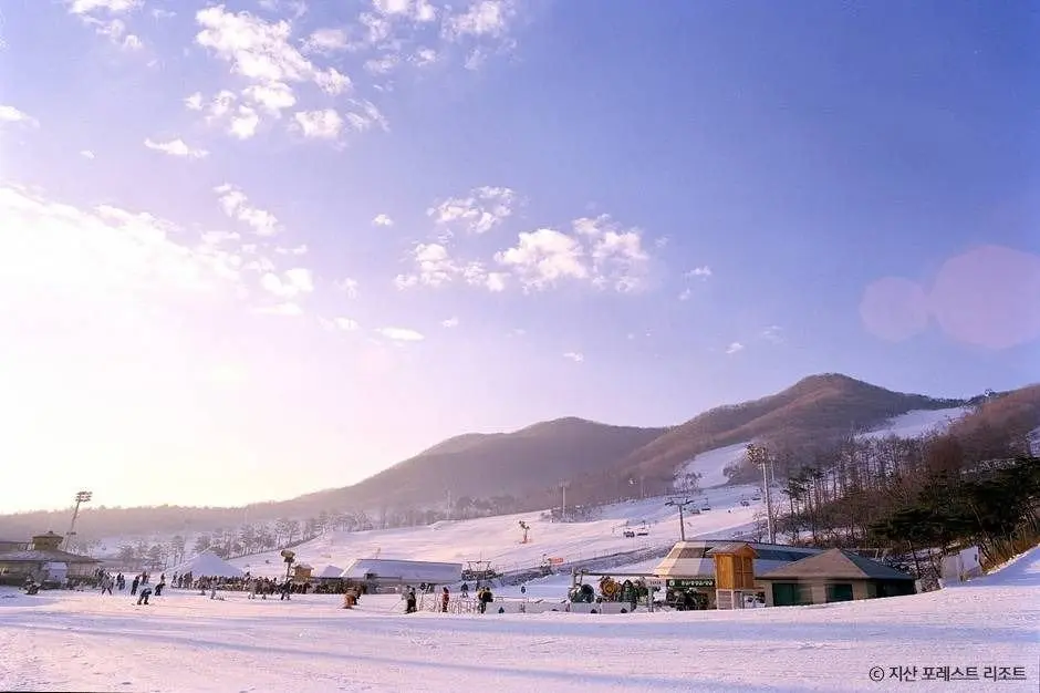 Jisan Forest Ski Resort (지산 포레스트 리조트 스키장)