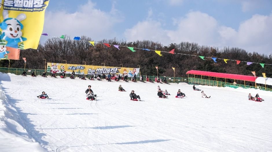 Seoulland Sledding Hills (서울랜드 눈썰매장)