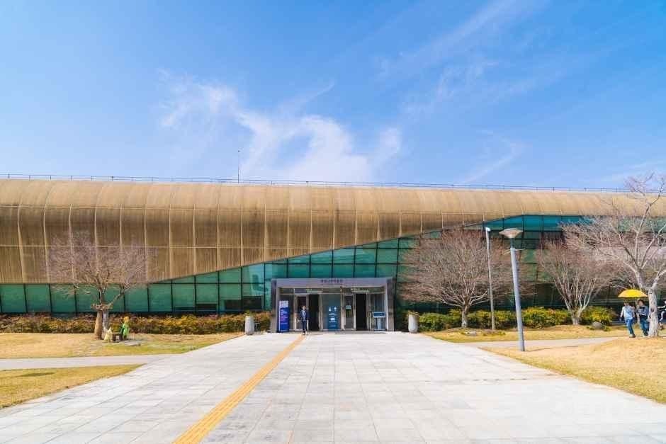 Naju National Museum (국립나주박물관)