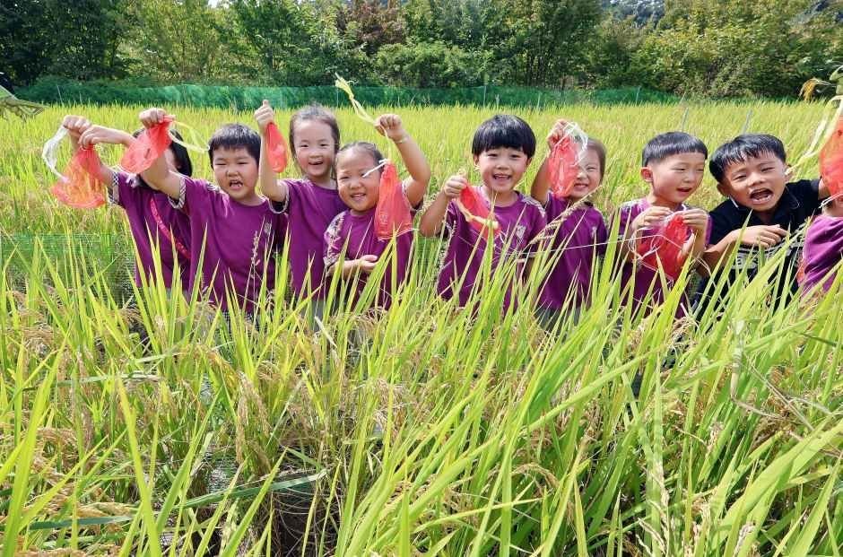 Wanju Wild & Local Food Festival (완주 와일드&로컬푸드축제)